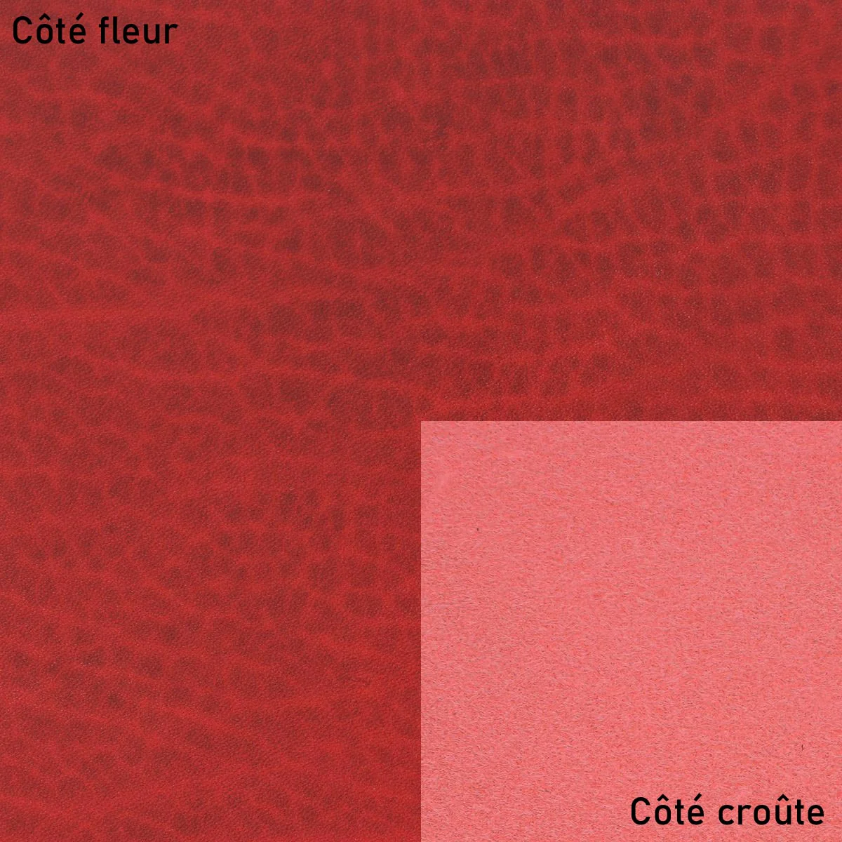 Image du produit 13
